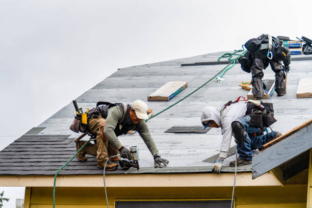 Professional Roofing technician working in Riceville, IA